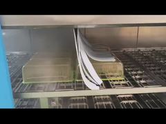 Animal laboratory cage box is being cleaned