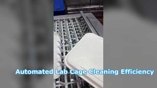 Commercial dishwasher in operation for cleaning large plates with inclined insertion