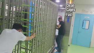 Animal laboratory equipment walk-in cage washer 2
