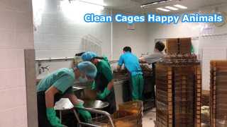 Animal laboratory equipment cage box