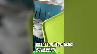 Commercial Dishwasher Specialized for Washing Large Trays & Plates