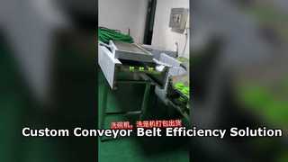 Custom Conveyor Belt for Dishwasher Tableware Receiving Line in Factory Workshop, Packed & Ready for