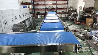conveyor belt