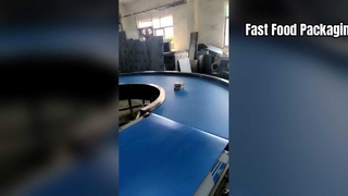 Assembly line packaging conveyor belt