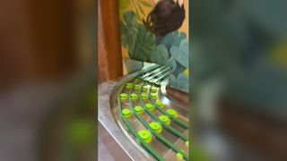Rope-type Meal Collection Conveyor