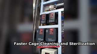 Automatic Walk-in Cage Washer with High Pressure Cleaning & Sterilization