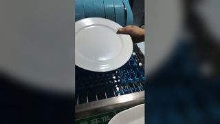 Large Tray Washing Under Test