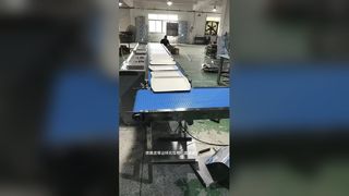 Food processing, pharmaceutical, electronics and high-speed line conveyor belts