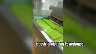 Large industrial cleaning equipment  (Long Dragon-type frame washing machine)