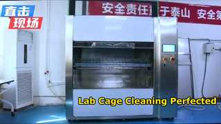 Cage washing machine for animal laboratory, washing of IVC cage boxes for mice and rats