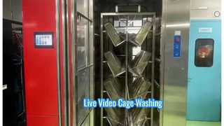 Walk-in cage washer uses live video