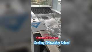 Recessed Soaking Dishwasher